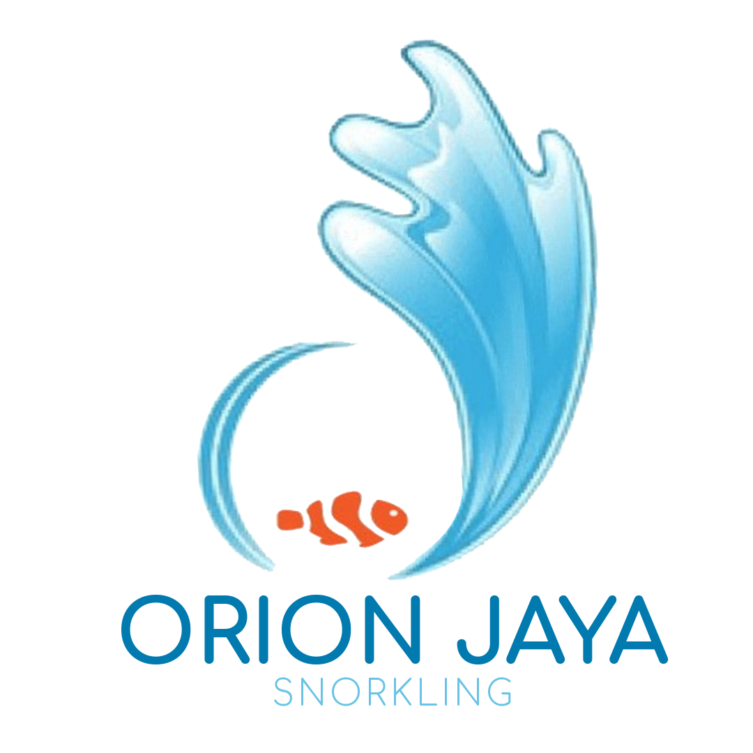 orion jaya snorkeling copy